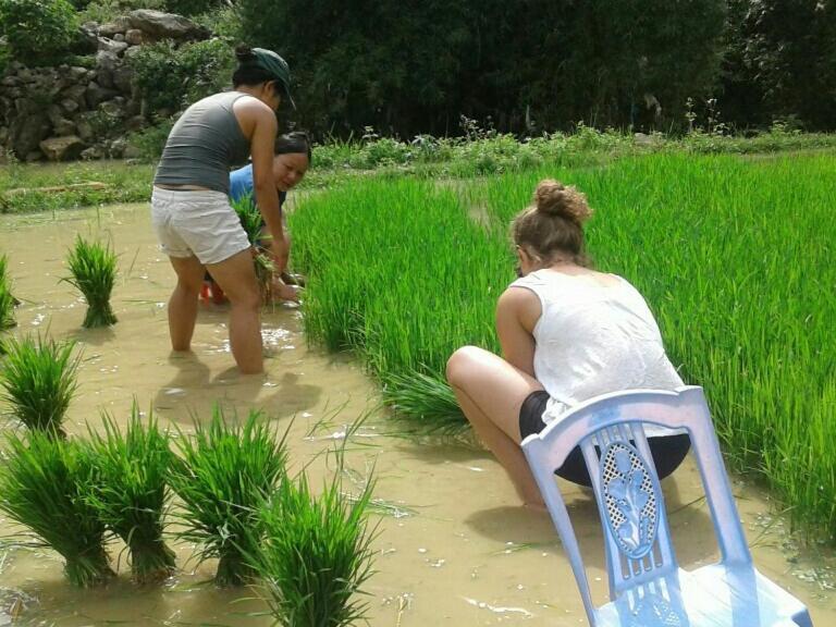 Yen Nhi Homestay Ban Gioc Cao Bang Buitenkant foto